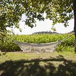 Casa De Assade