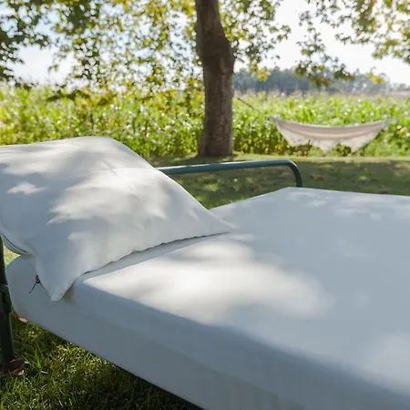 Casa De Assade * Grimancelos