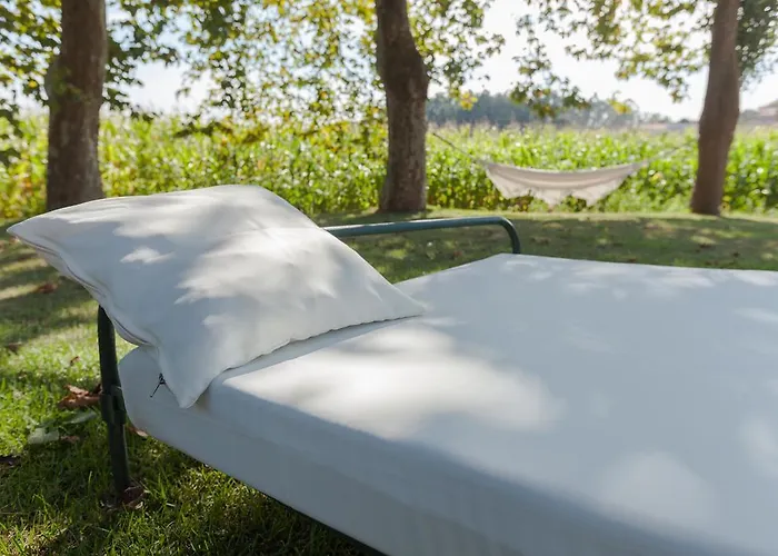 卡萨德阿萨特酒店 * Grimancelos